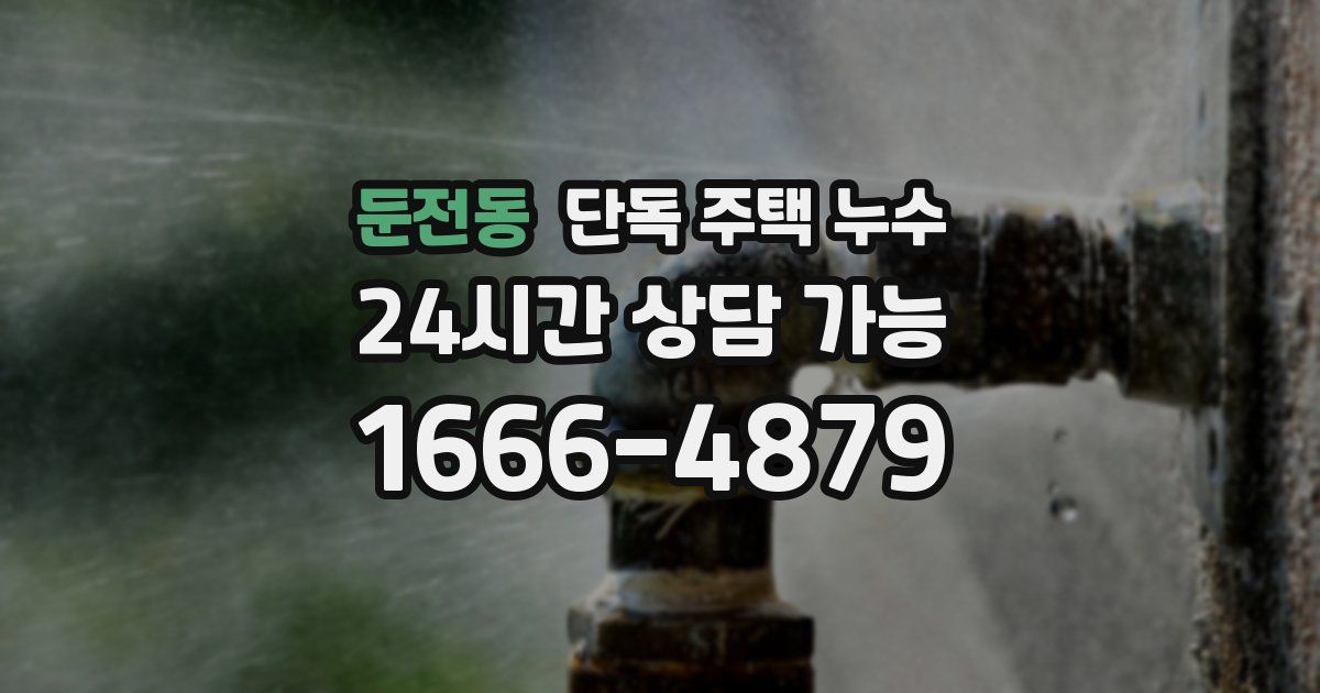 둔전동 단독 주택 누수