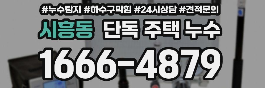 시흥동 단독 주택 누수