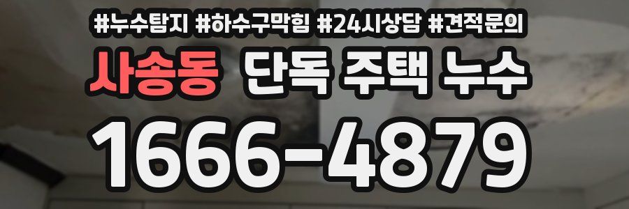 사송동 단독 주택 누수