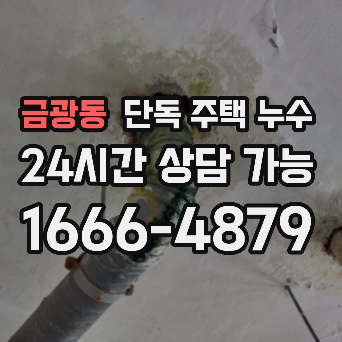 금광동 단독 주택 누수 수리 상담 전에 정리하면 좋은 정보