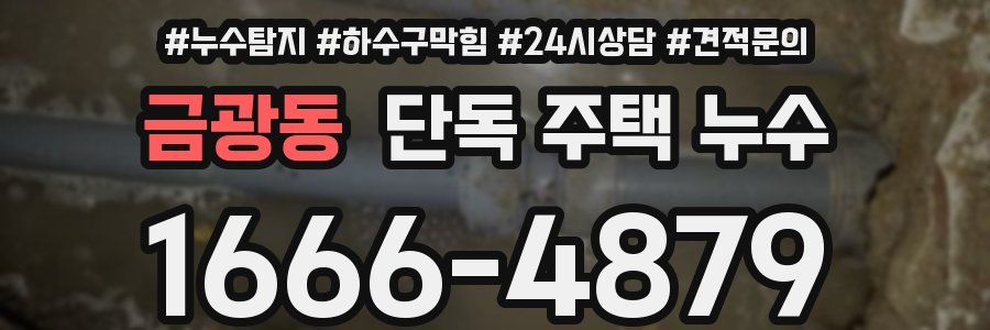 금광동 단독 주택 누수