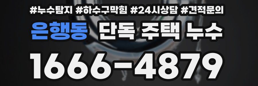 은행동 단독 주택 누수