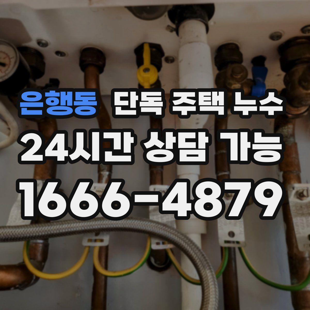 은행동 단독 주택 누수