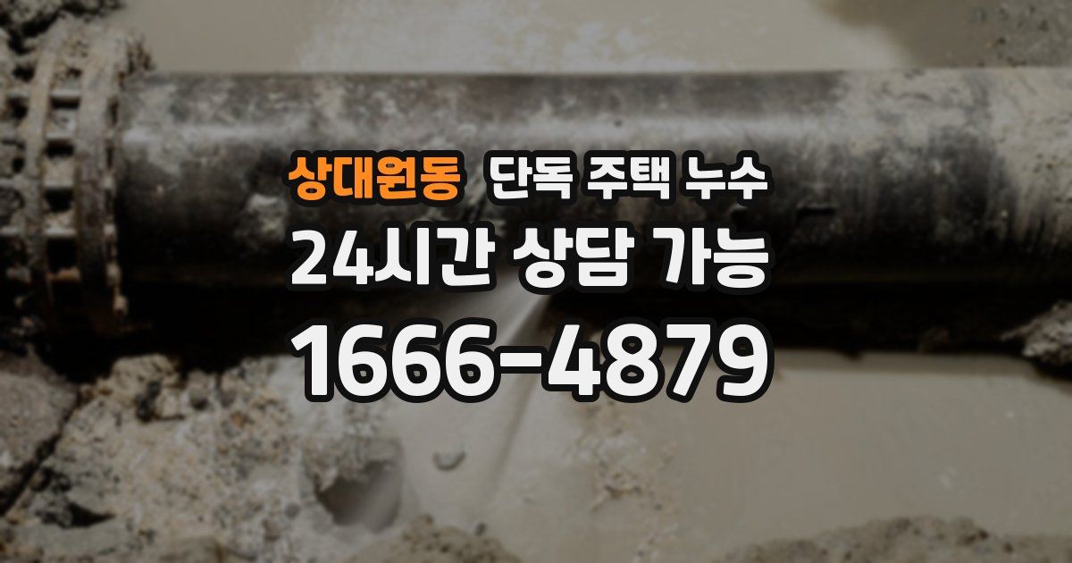 상대원동 단독 주택 누수