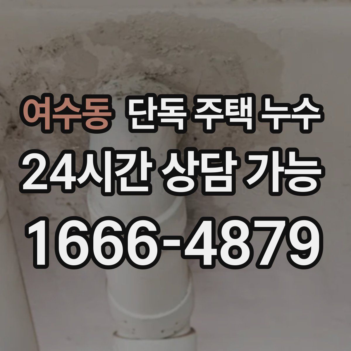 여수동 단독 주택 누수