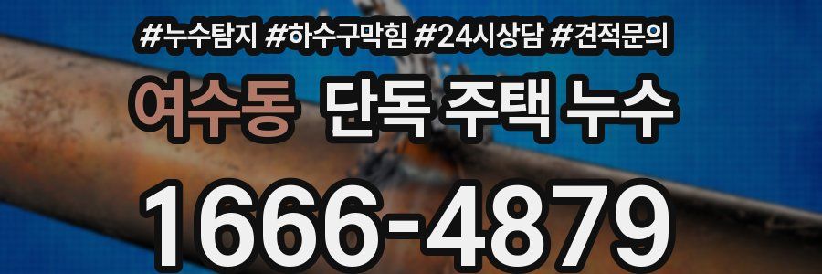 여수동 단독 주택 누수
