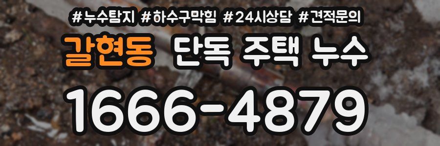 갈현동 단독 주택 누수