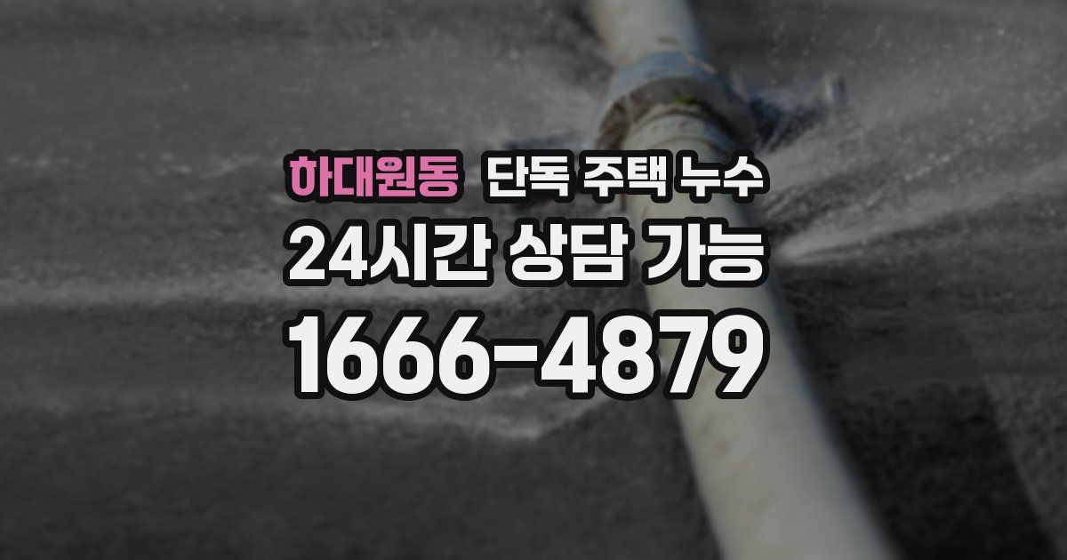 하대원동 단독 주택 누수