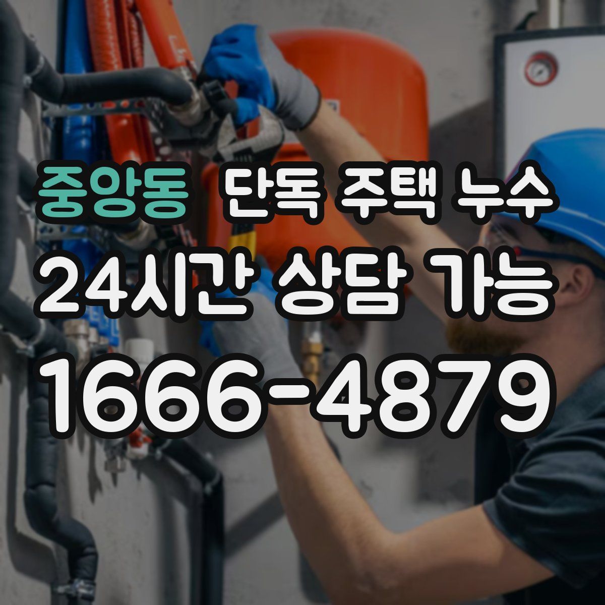 중앙동 단독 주택 누수