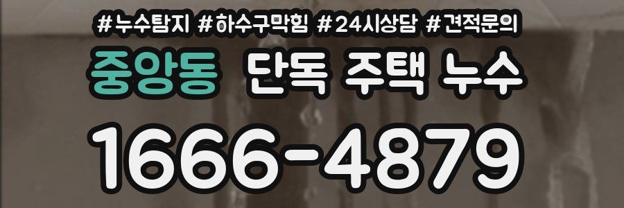 중앙동 단독 주택 누수