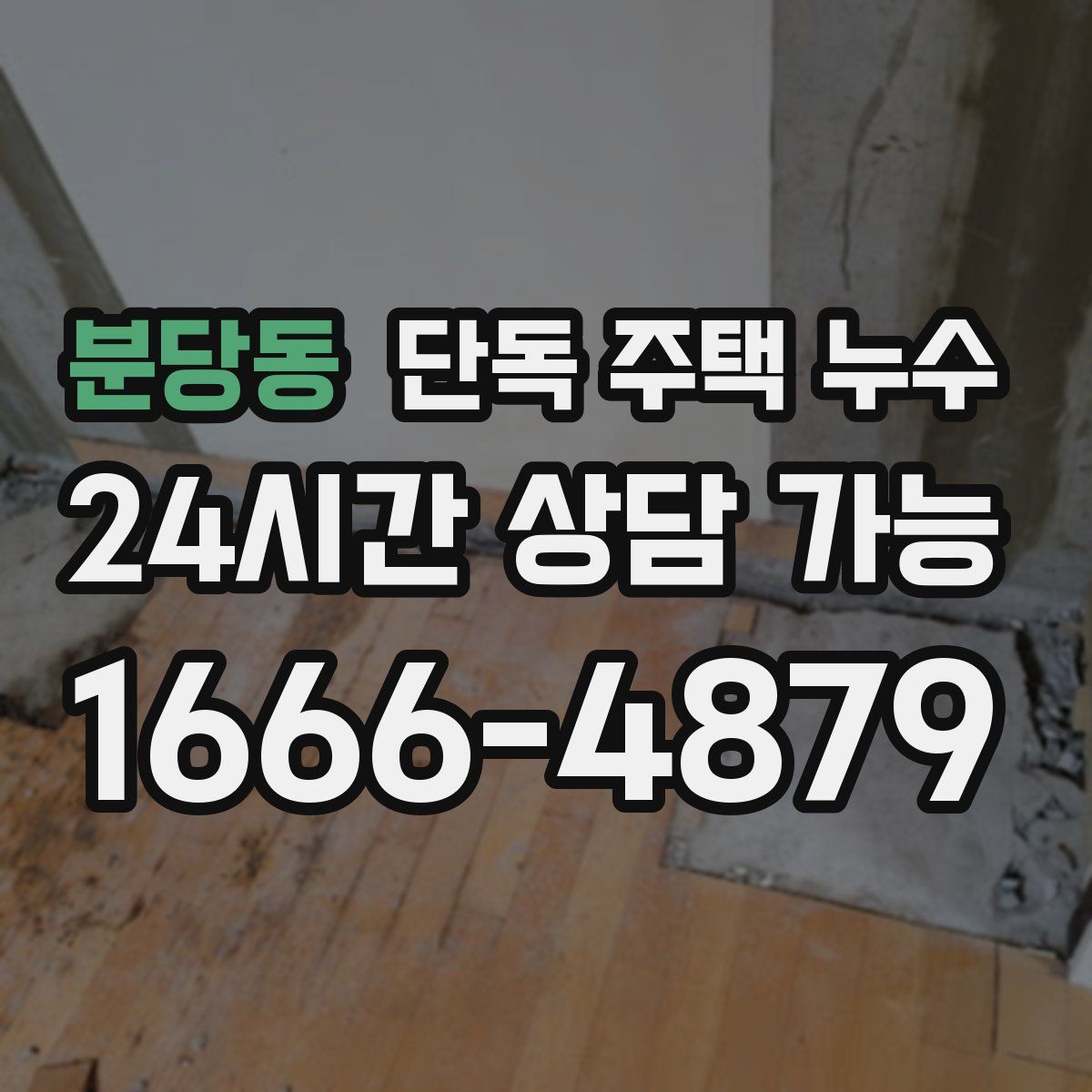 분당동 단독 주택 누수