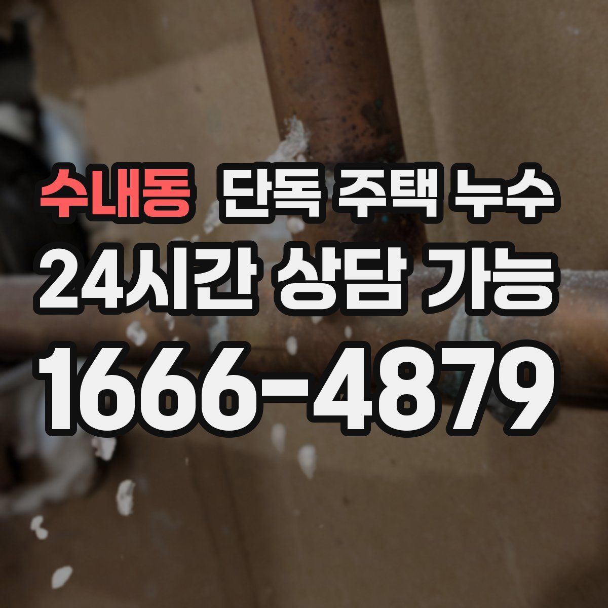 수내동 단독 주택 누수