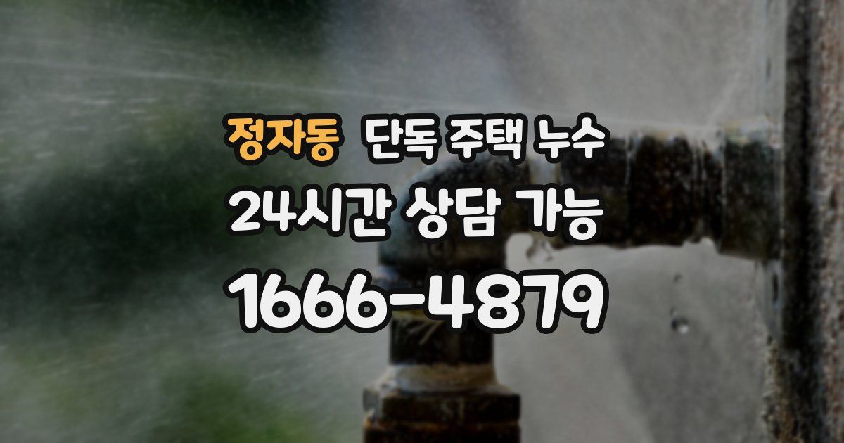 정자동 단독 주택 누수