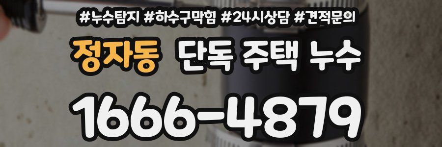 정자동 단독 주택 누수