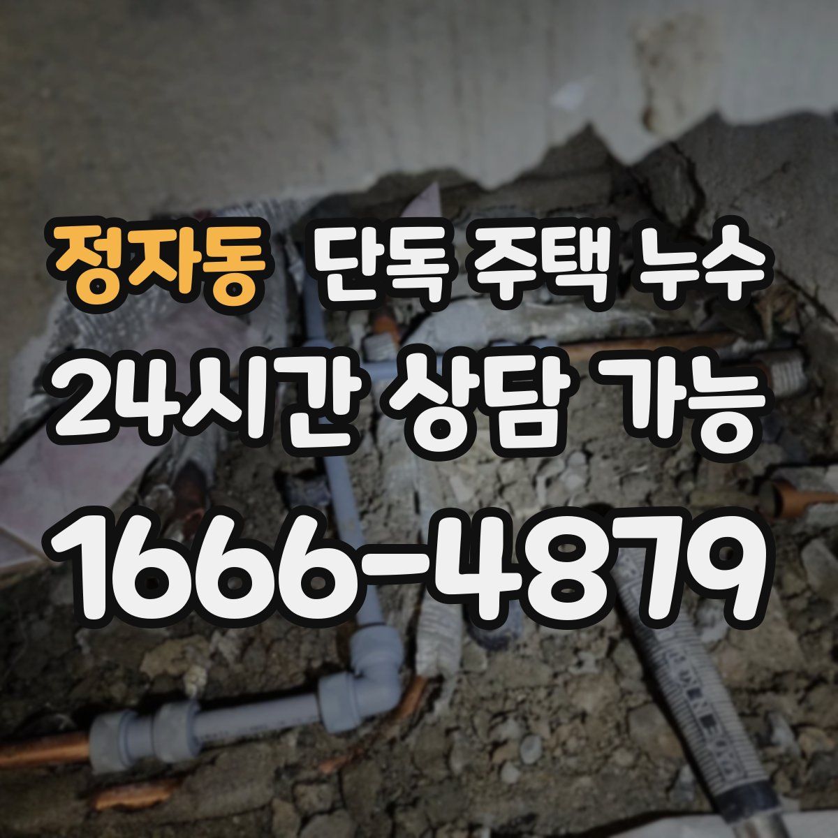 정자동 단독 주택 누수