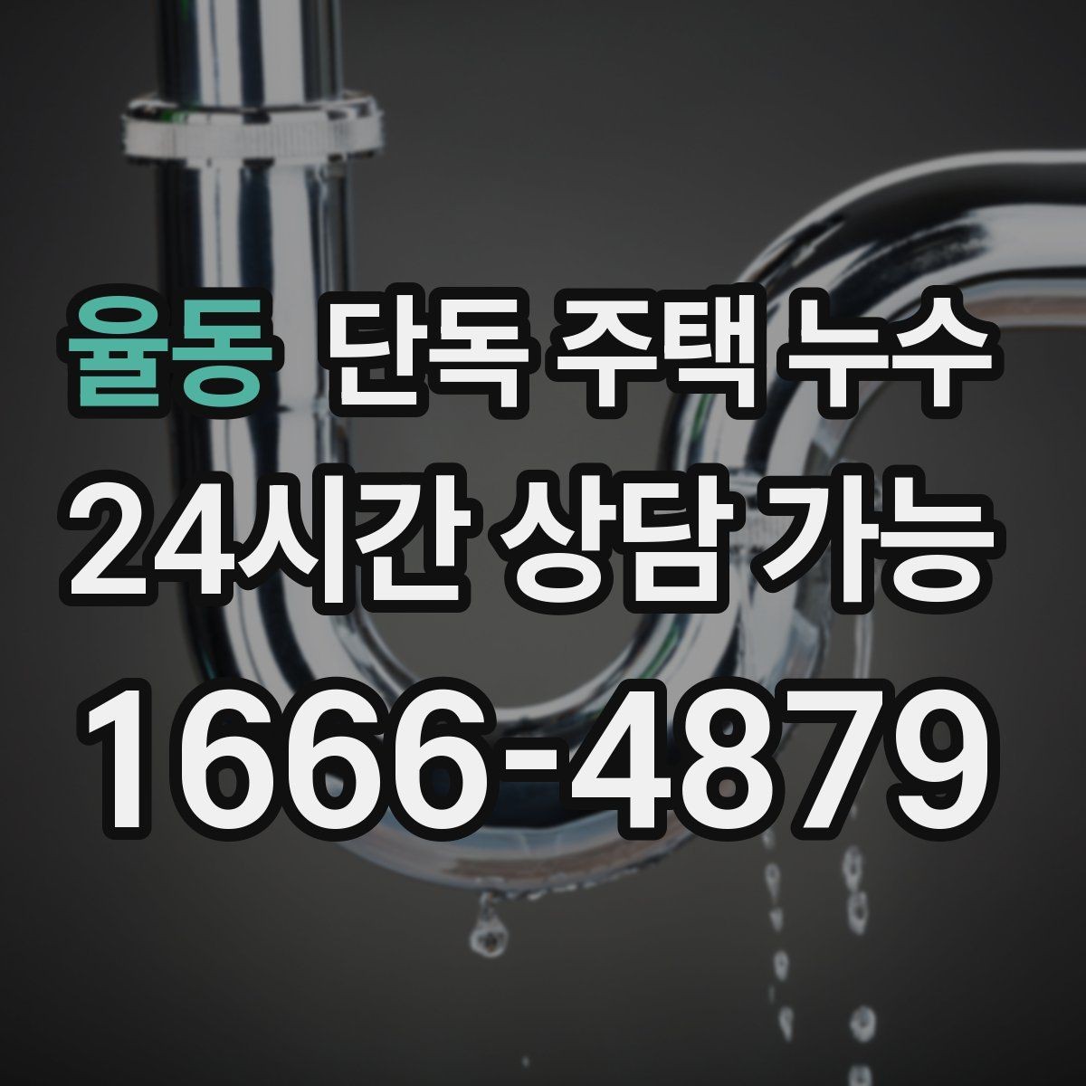 율동 단독 주택 누수 홈통 막힘이 실내 누수로 이어지는 과정