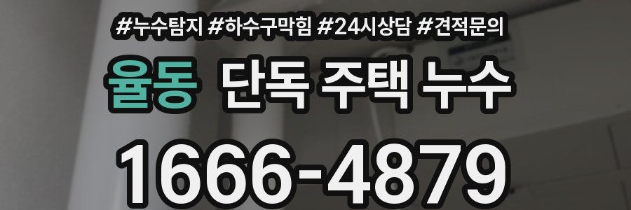 율동 단독 주택 누수