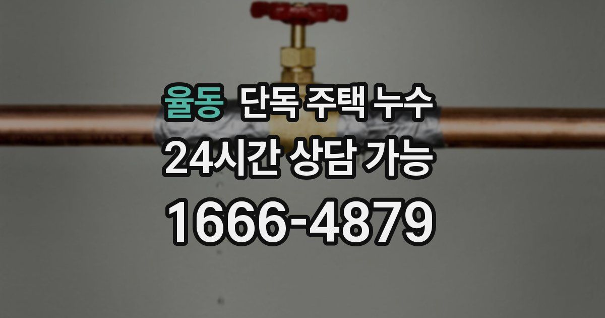 율동 단독 주택 누수