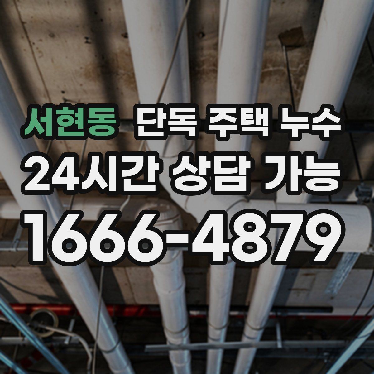 서현동 단독 주택 누수 옥상 없는 집의 방수 포인트 정리