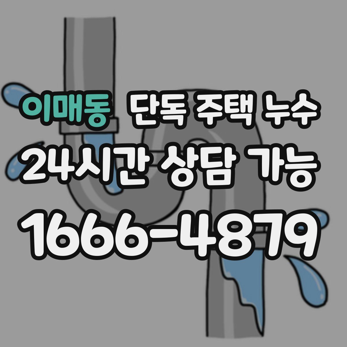 이매동 단독 주택 누수