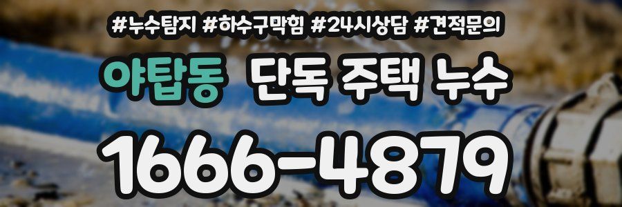 야탑동 단독 주택 누수