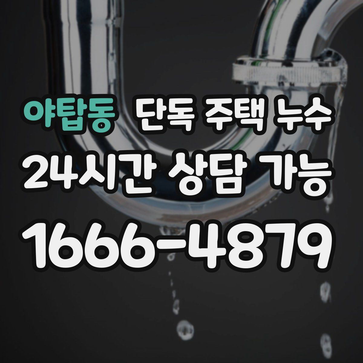 야탑동 단독 주택 누수