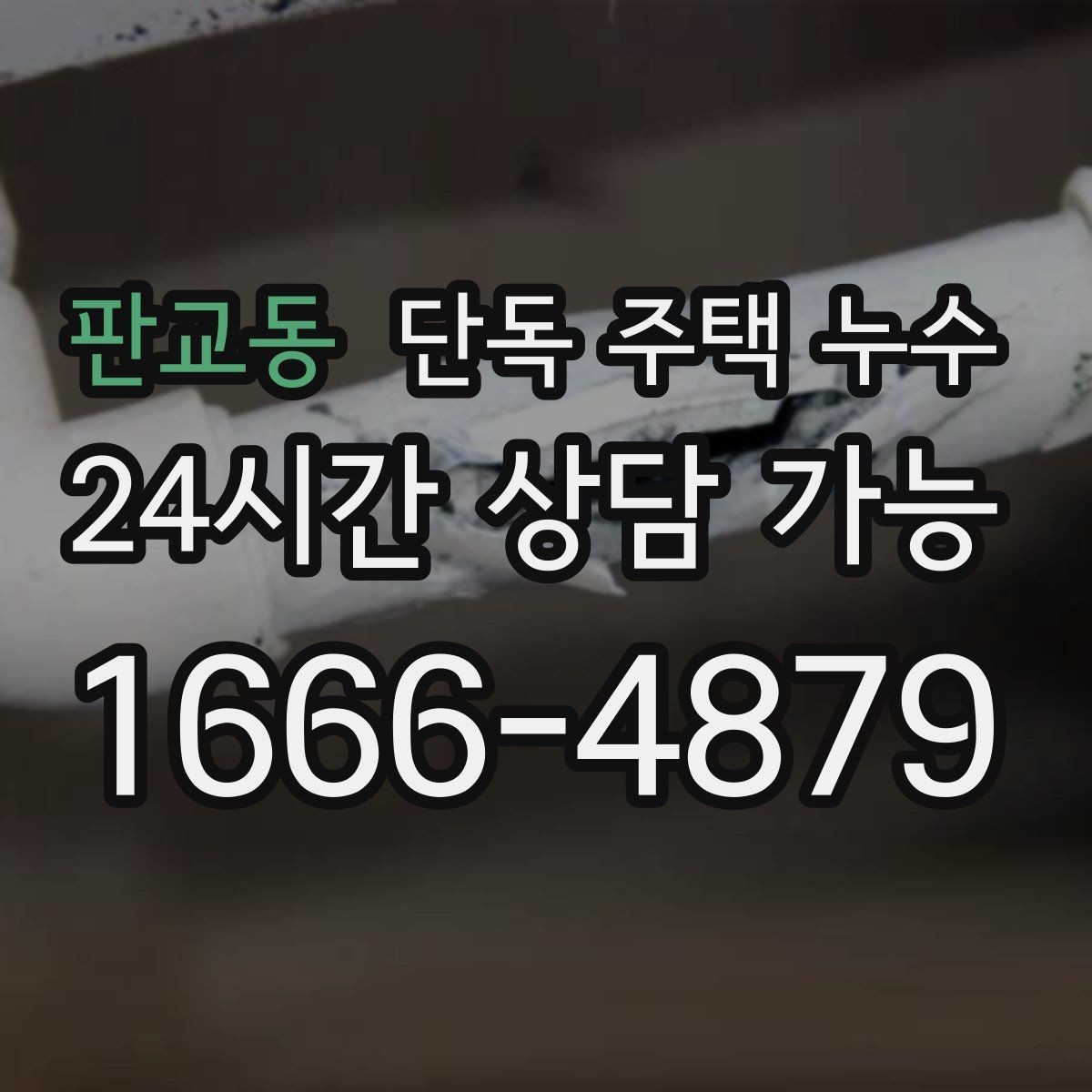 판교동 단독 주택 누수 외부 배수로 청소가 중요한 이유
