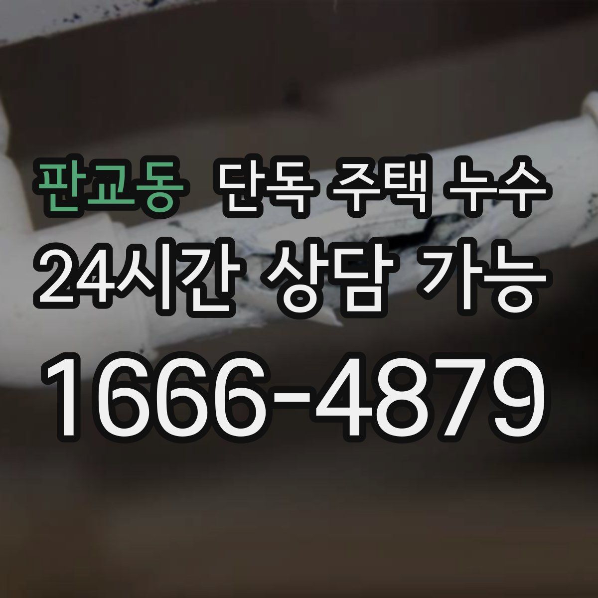 판교동 단독 주택 누수