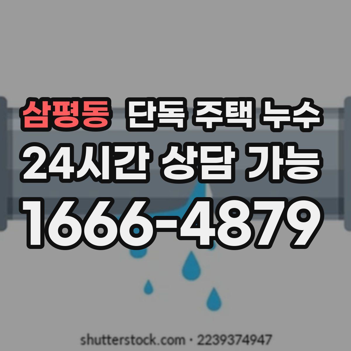 삼평동 단독 주택 누수