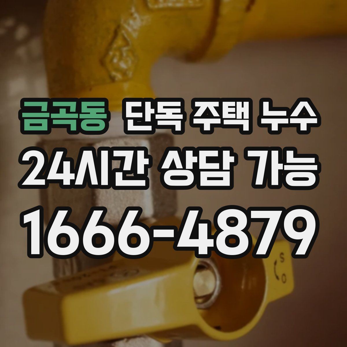 금곡동 단독 주택 누수 겨울 뒤 동파가 지나가고 남는 미세 누수