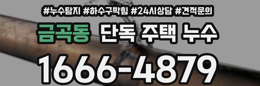 금곡동 단독 주택 누수