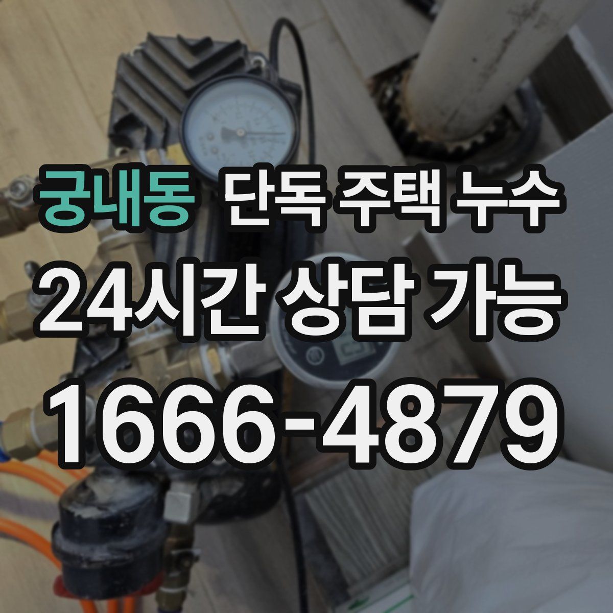 궁내동 단독 주택 누수