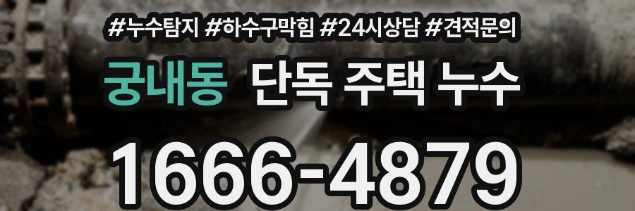 궁내동 단독 주택 누수