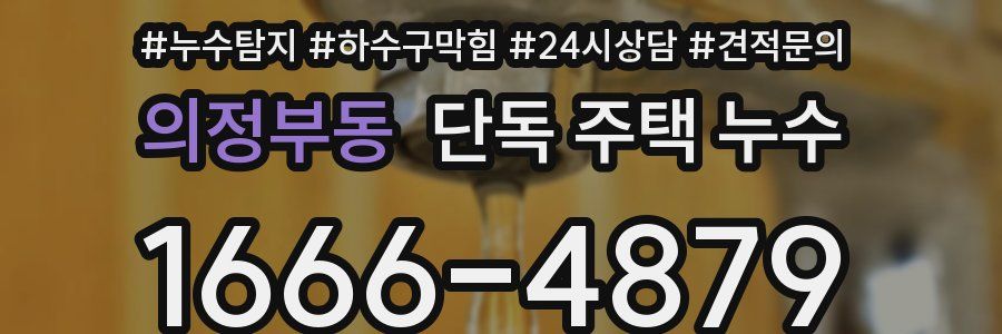 의정부동 단독 주택 누수