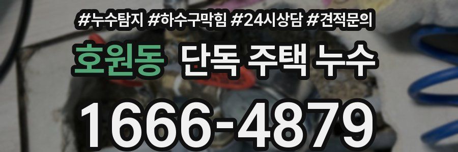 호원동 단독 주택 누수