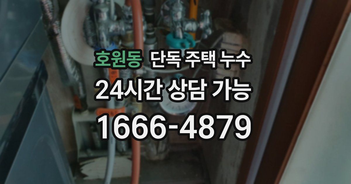 호원동 단독 주택 누수