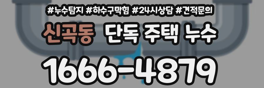 신곡동 단독 주택 누수