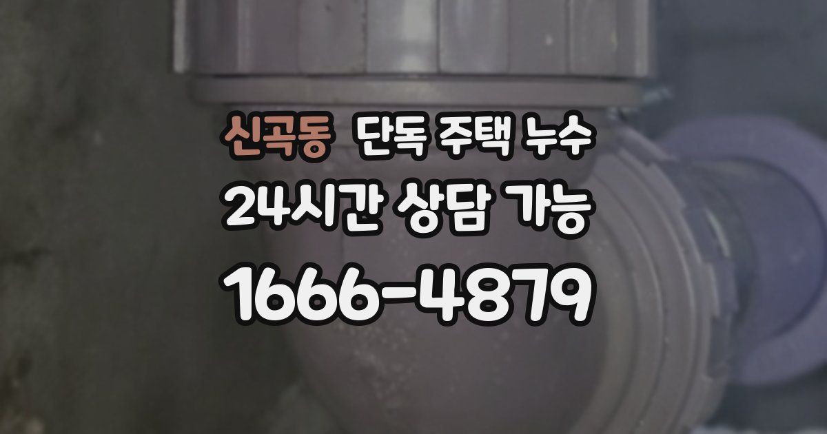 신곡동 단독 주택 누수