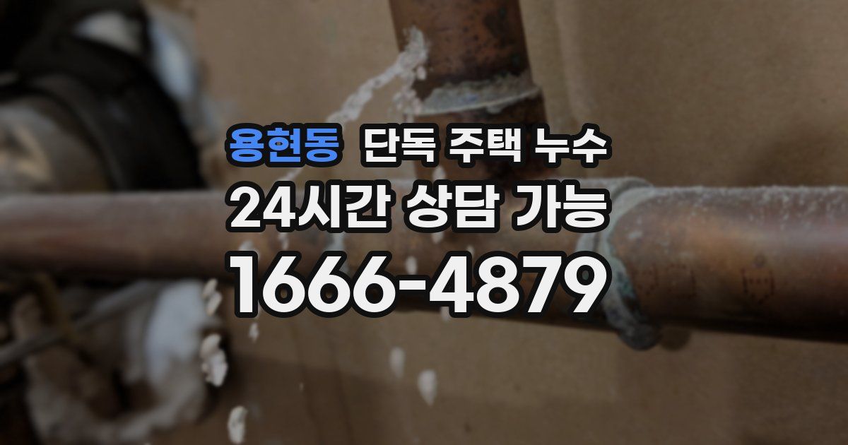 용현동 단독 주택 누수