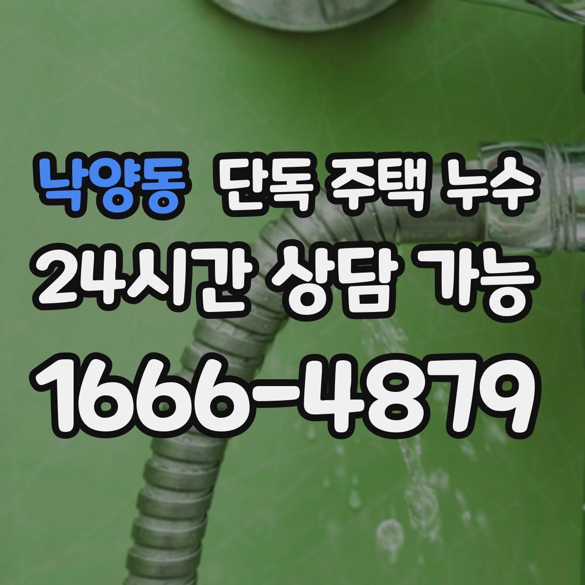 낙양동 단독 주택 누수