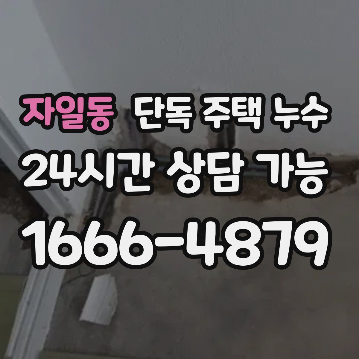 자일동 단독 주택 누수