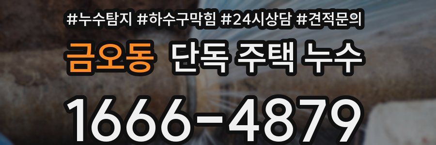 금오동 단독 주택 누수