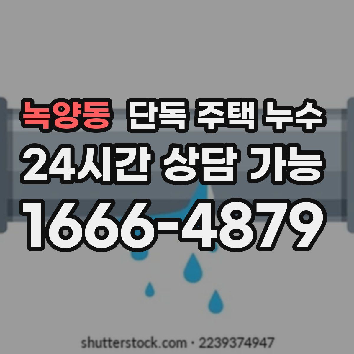 녹양동 단독 주택 누수