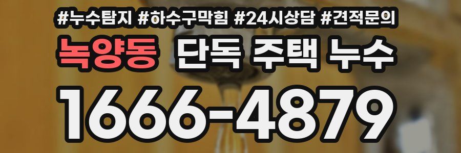 녹양동 단독 주택 누수