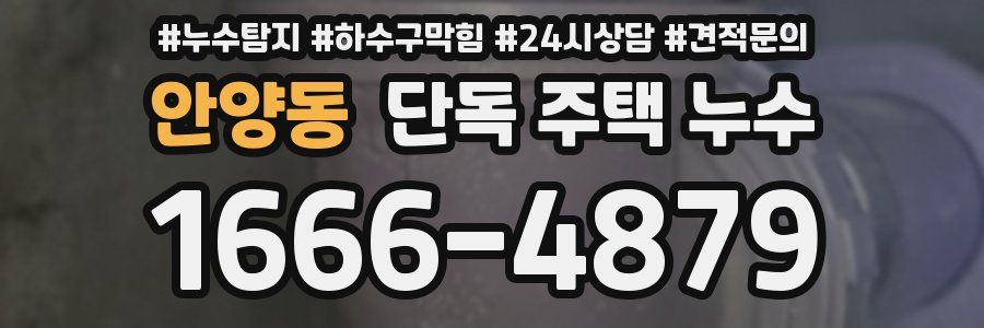 안양동 단독 주택 누수