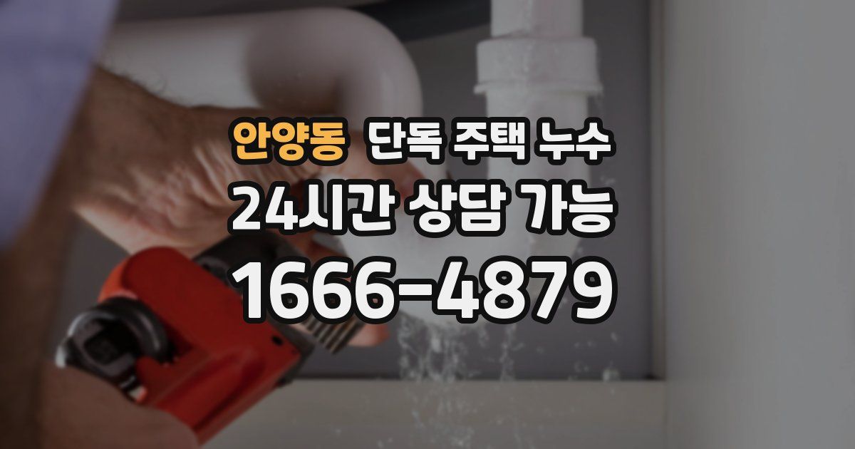 안양동 단독 주택 누수