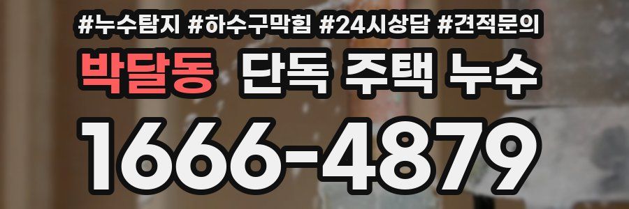 박달동 단독 주택 누수