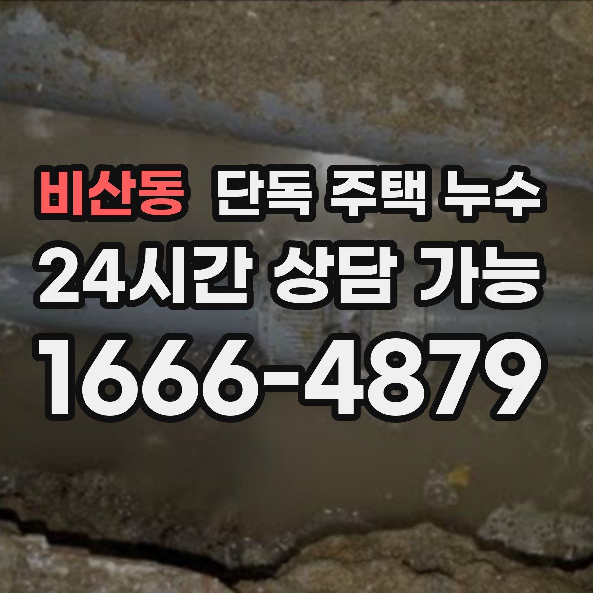 비산동 단독 주택 누수