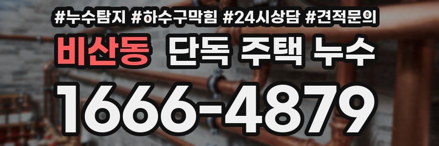 비산동 단독 주택 누수