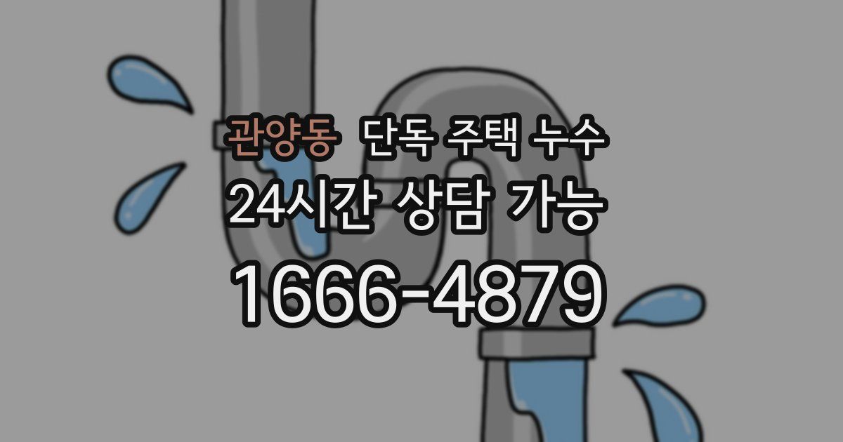 관양동 단독 주택 누수